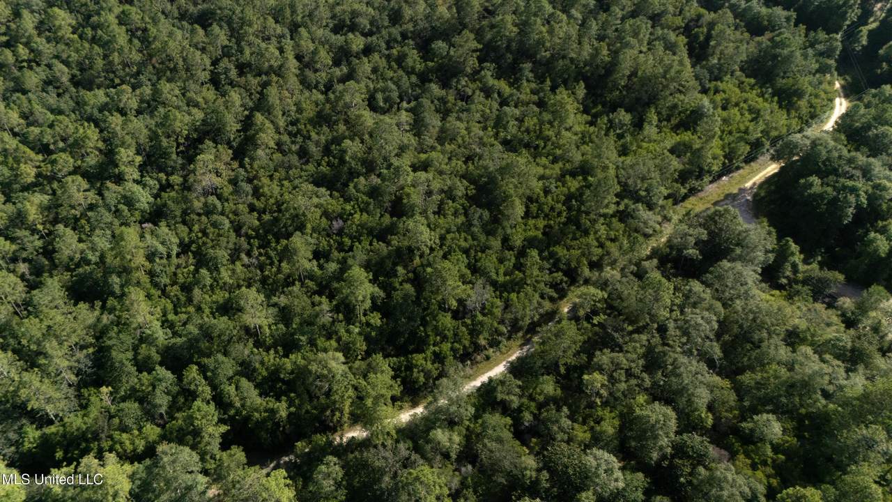  Ashmore Ridge Drive - Photo 1