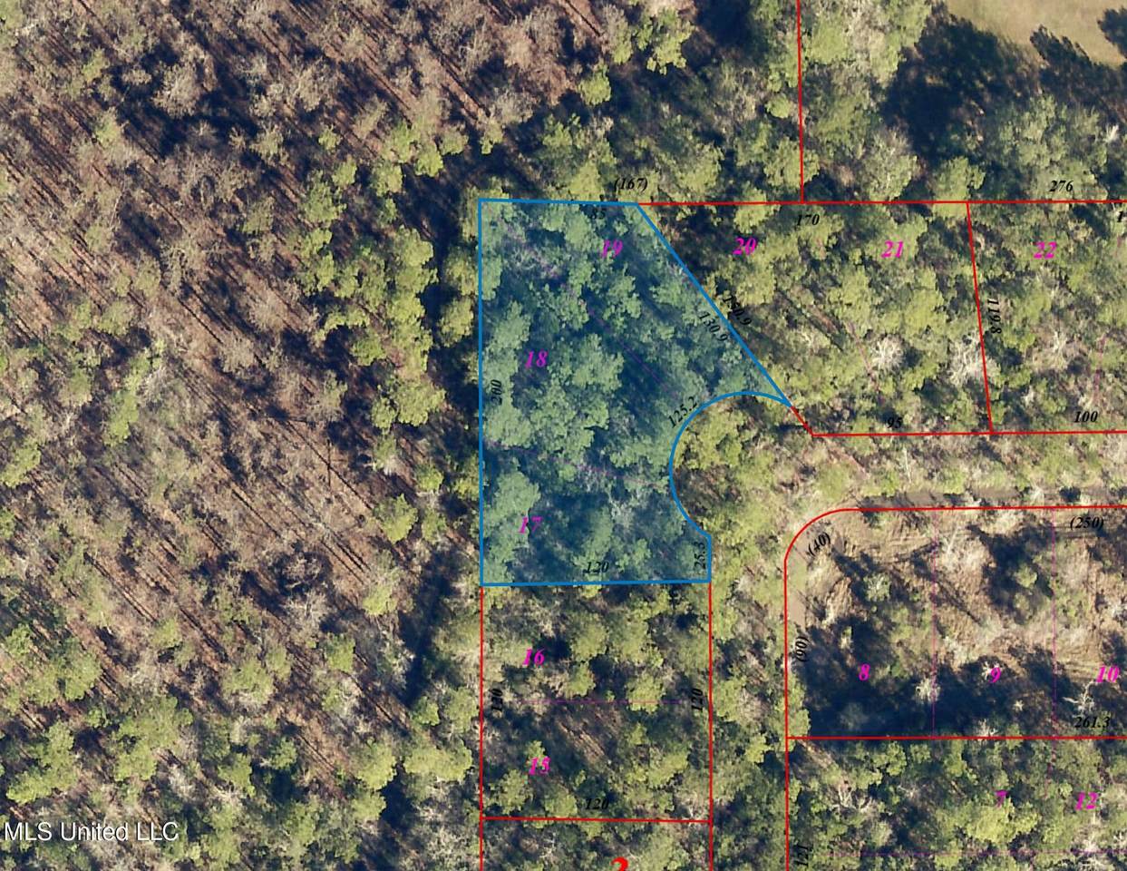  Notre Dame Avenue - Photo 1