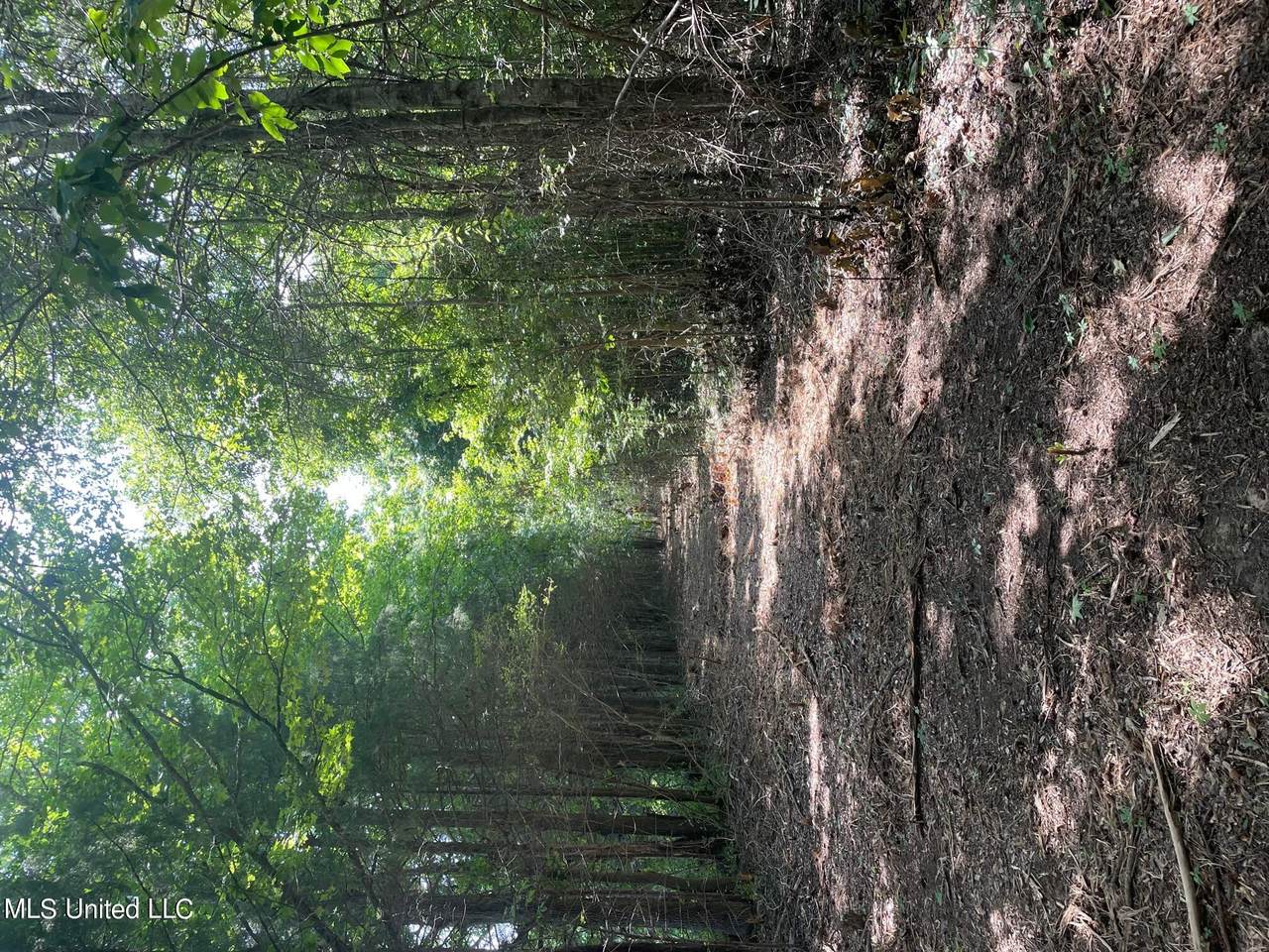  Cleo-Clark Road - Photo 1