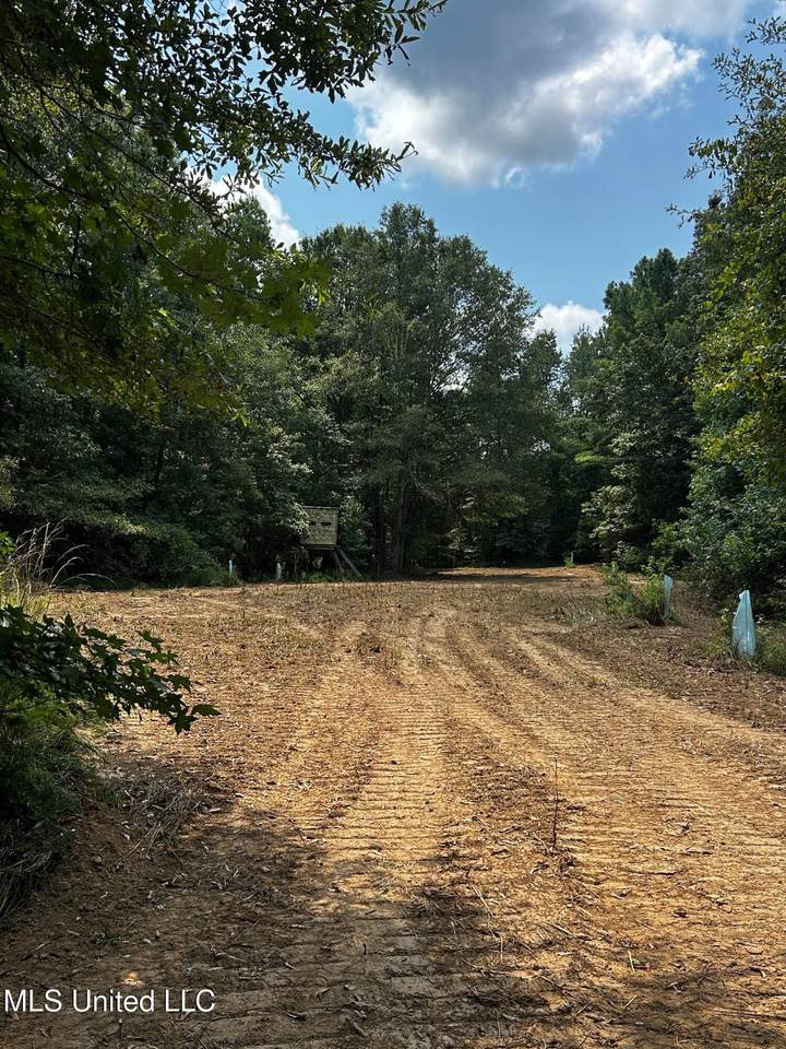  Phillips Road - Photo 1