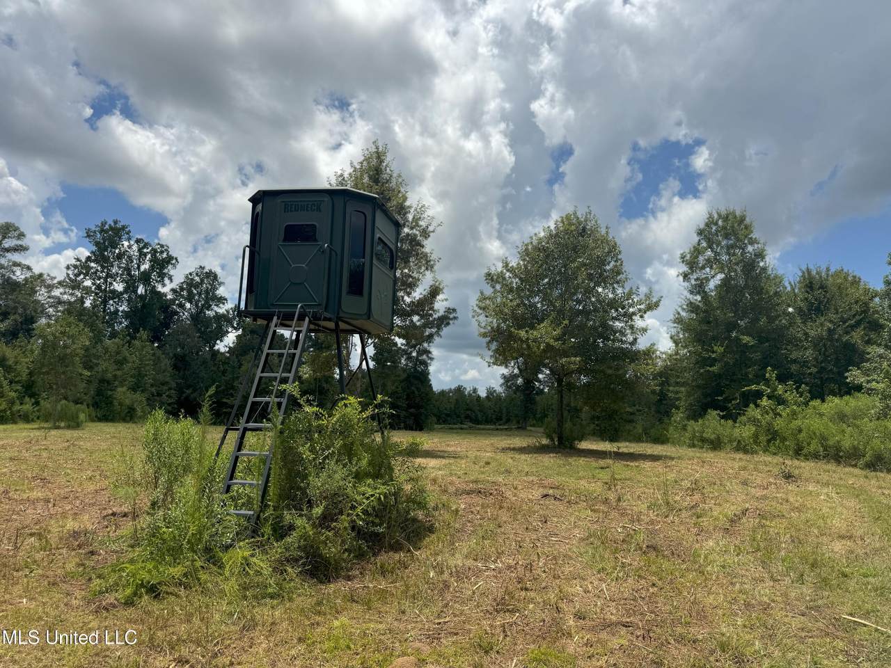  Beltline Drive - Photo 1