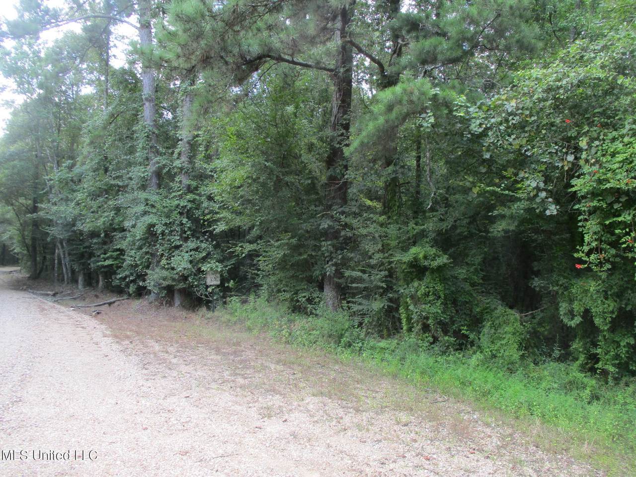  Belle Gardner Road - Photo 1