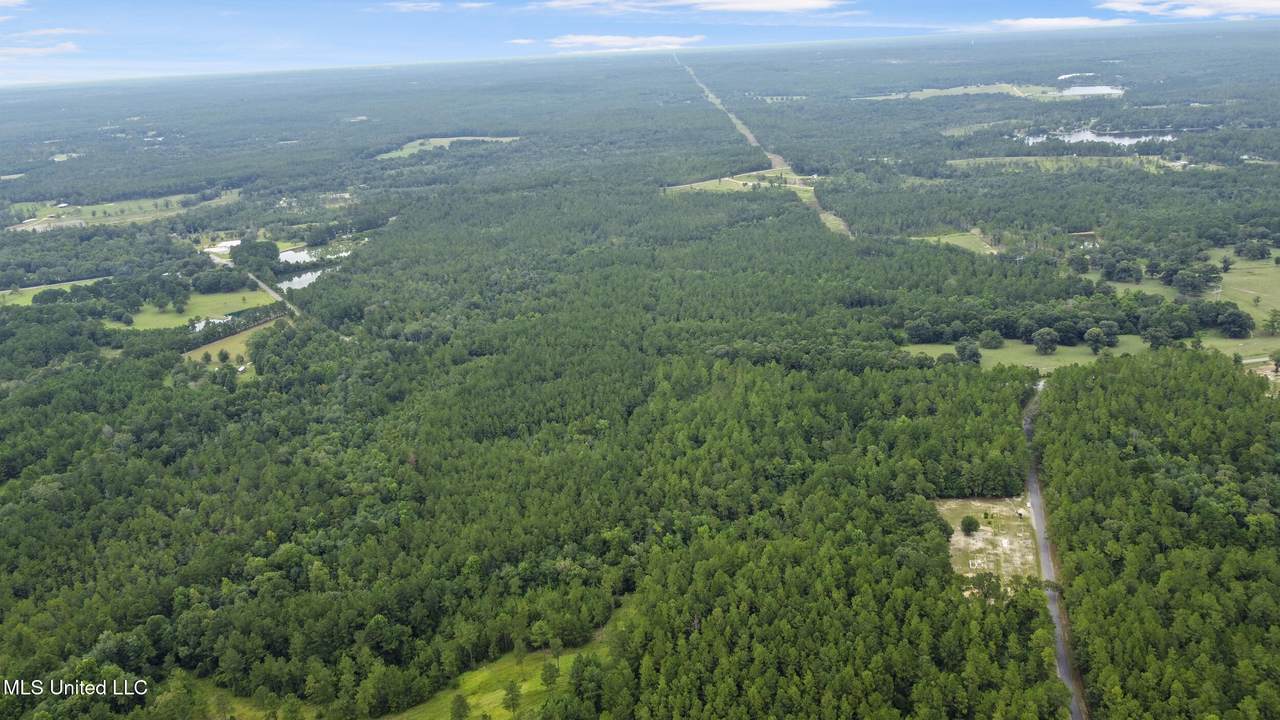  Silver Run-Progress Road - Photo 1