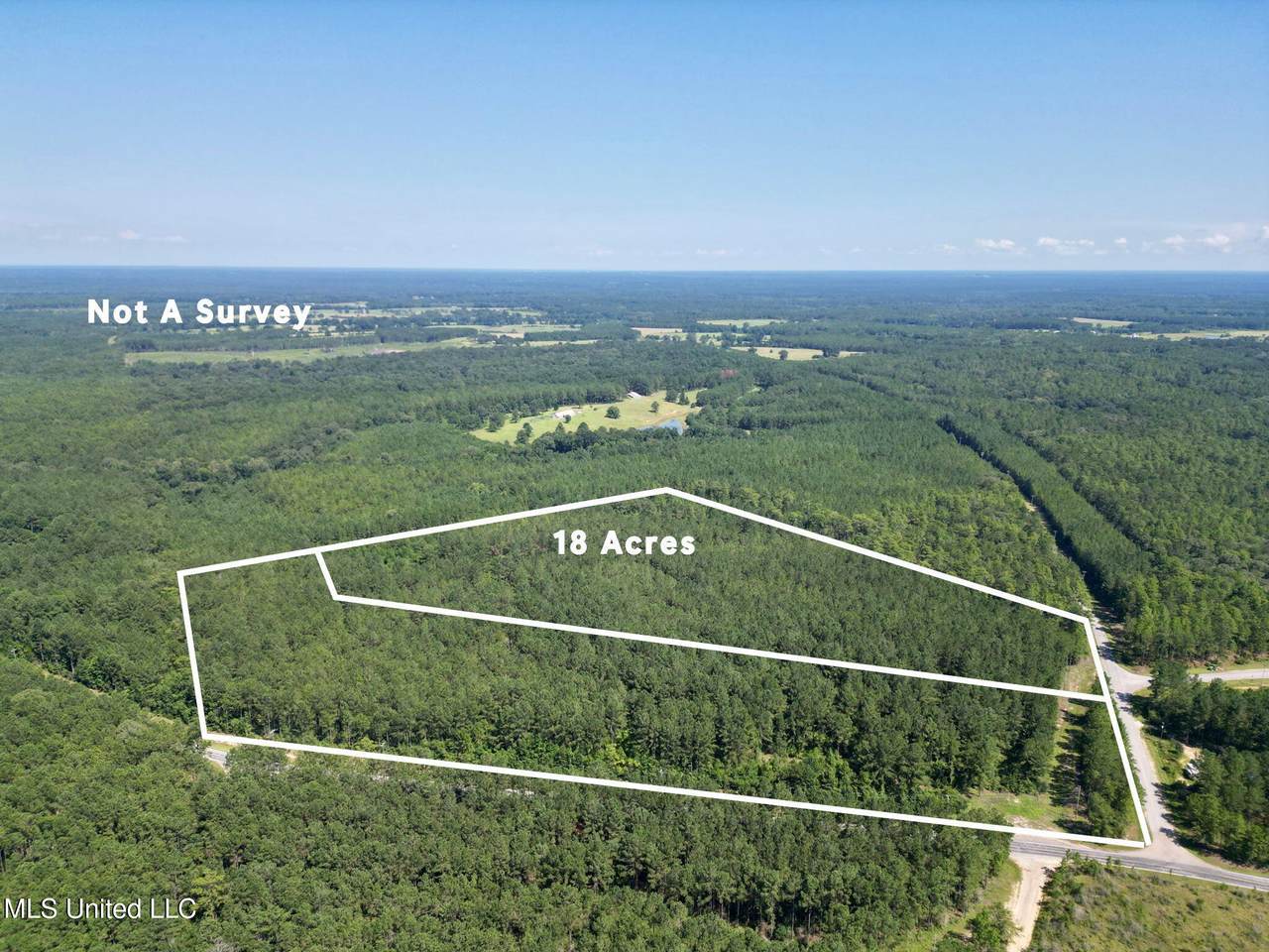  Gobbler Head Road - Photo 1