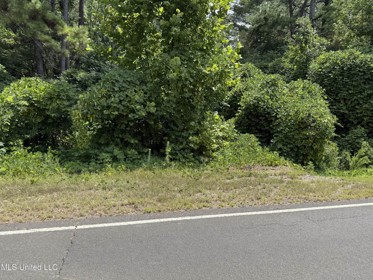 00 Strickland Road - Photo 1