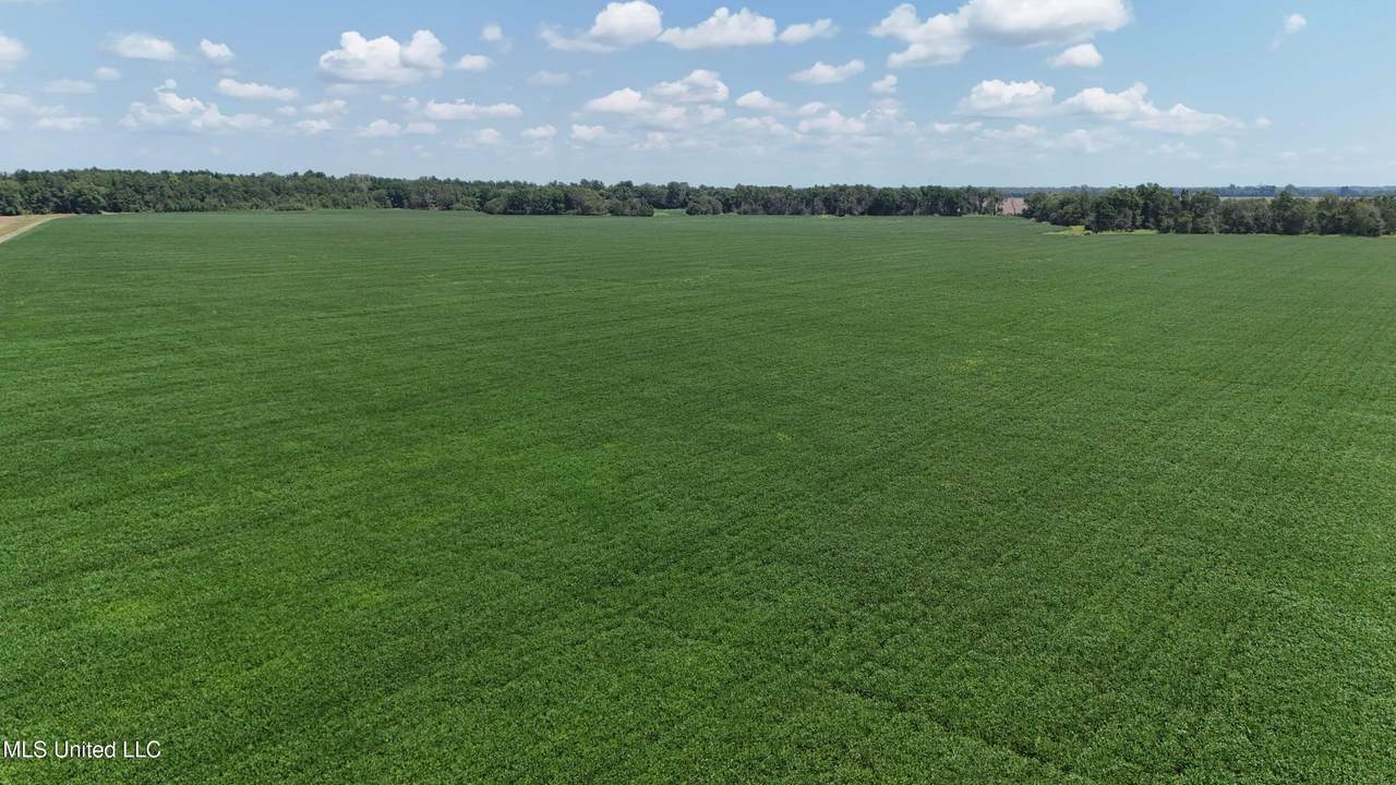 9355 Hwy 65 - Photo 1