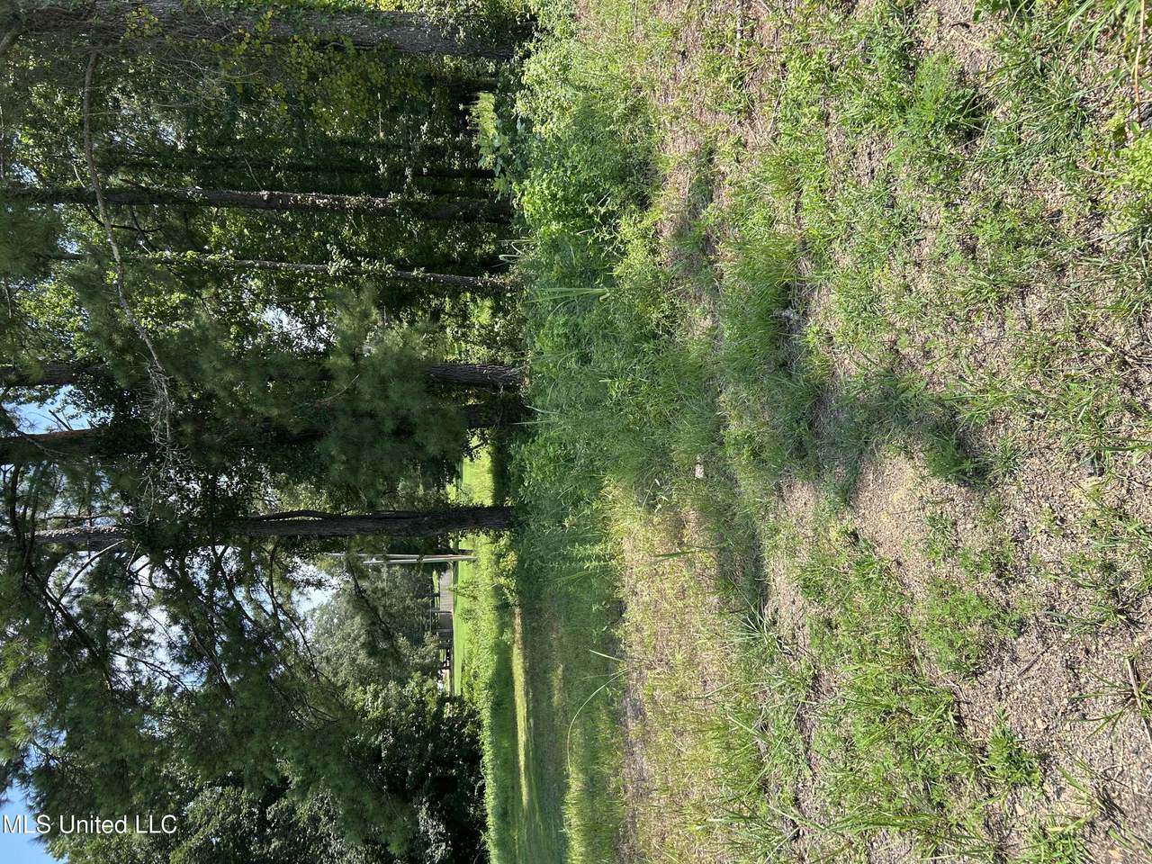 0 Faulkner Cove - Photo 1