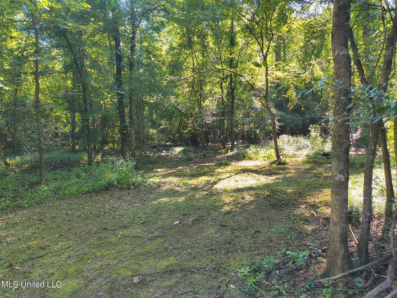 0 Carter Lake Drive - Photo 1