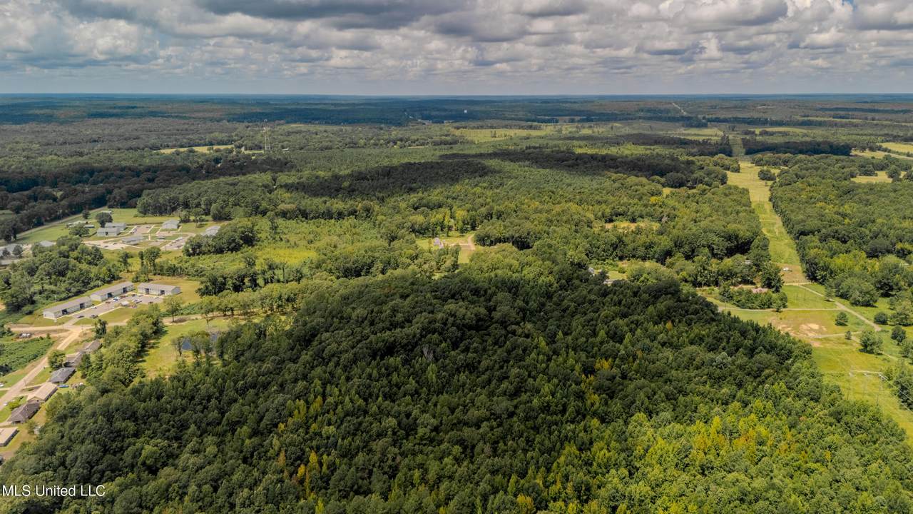 000 Dog Pen Rd - Photo 1