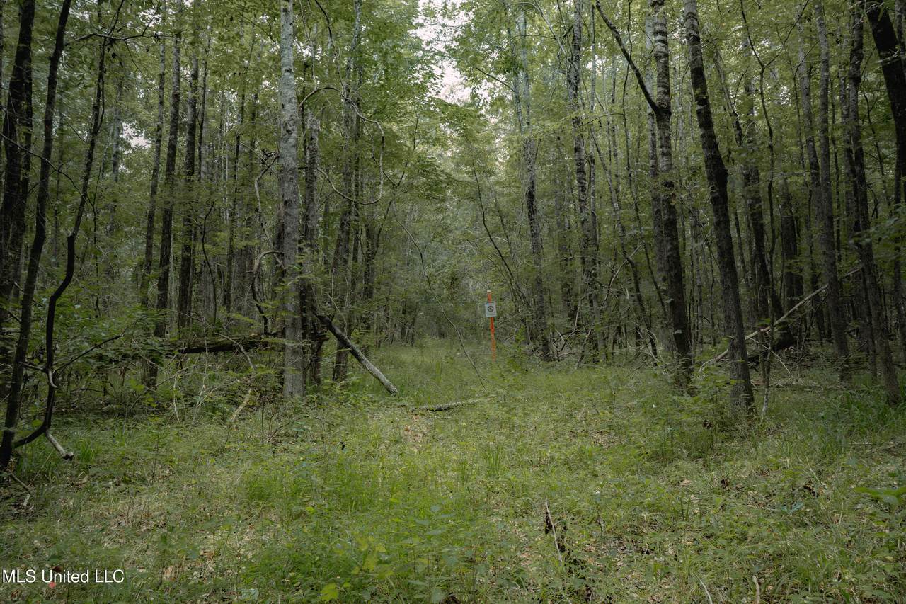 https://bt-photos.global.ssl.fastly.net/united/1280_boomver_1_4123246-2.jpg