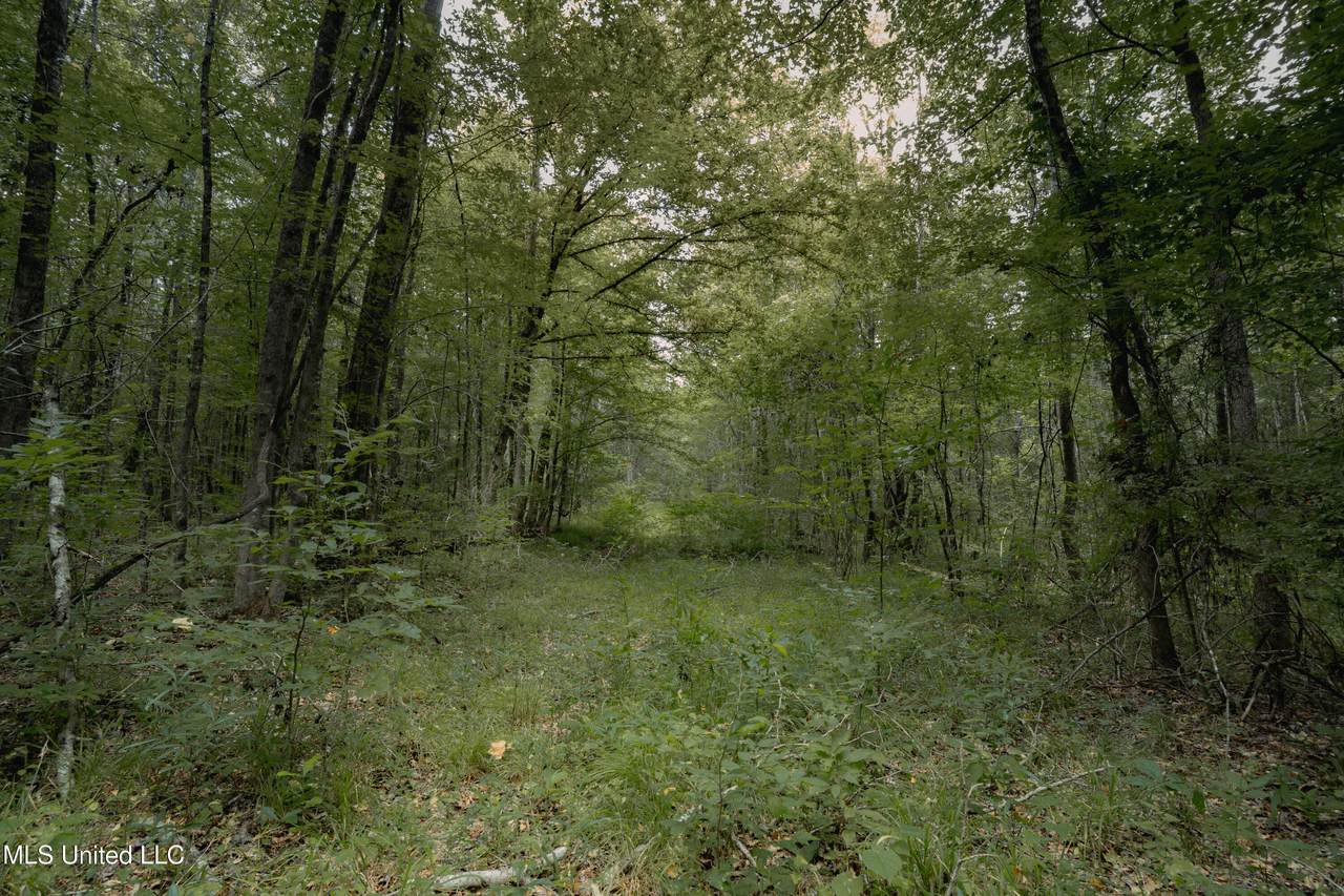https://bt-photos.global.ssl.fastly.net/united/1280_boomver_1_4123246-2.jpg