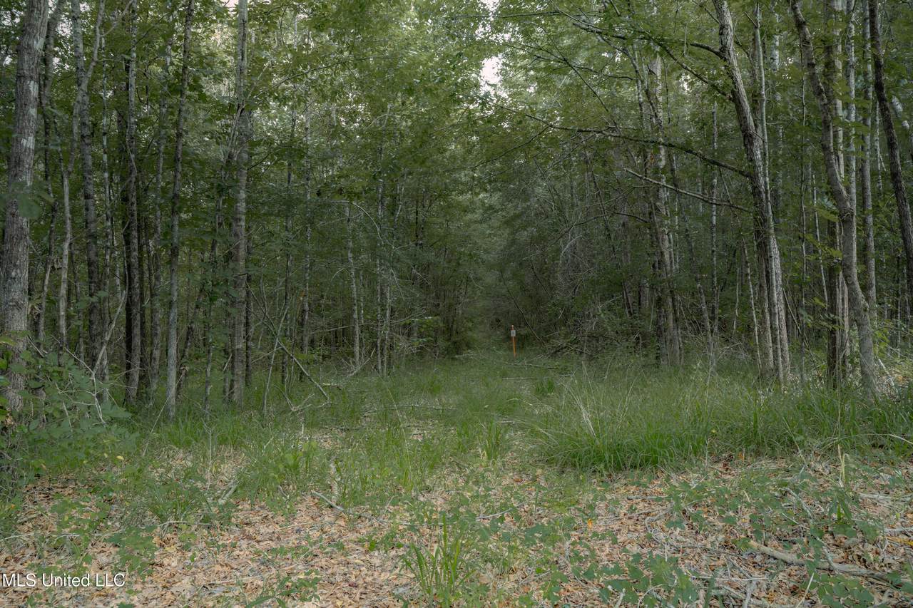 https://bt-photos.global.ssl.fastly.net/united/1280_boomver_1_4123246-2.jpg