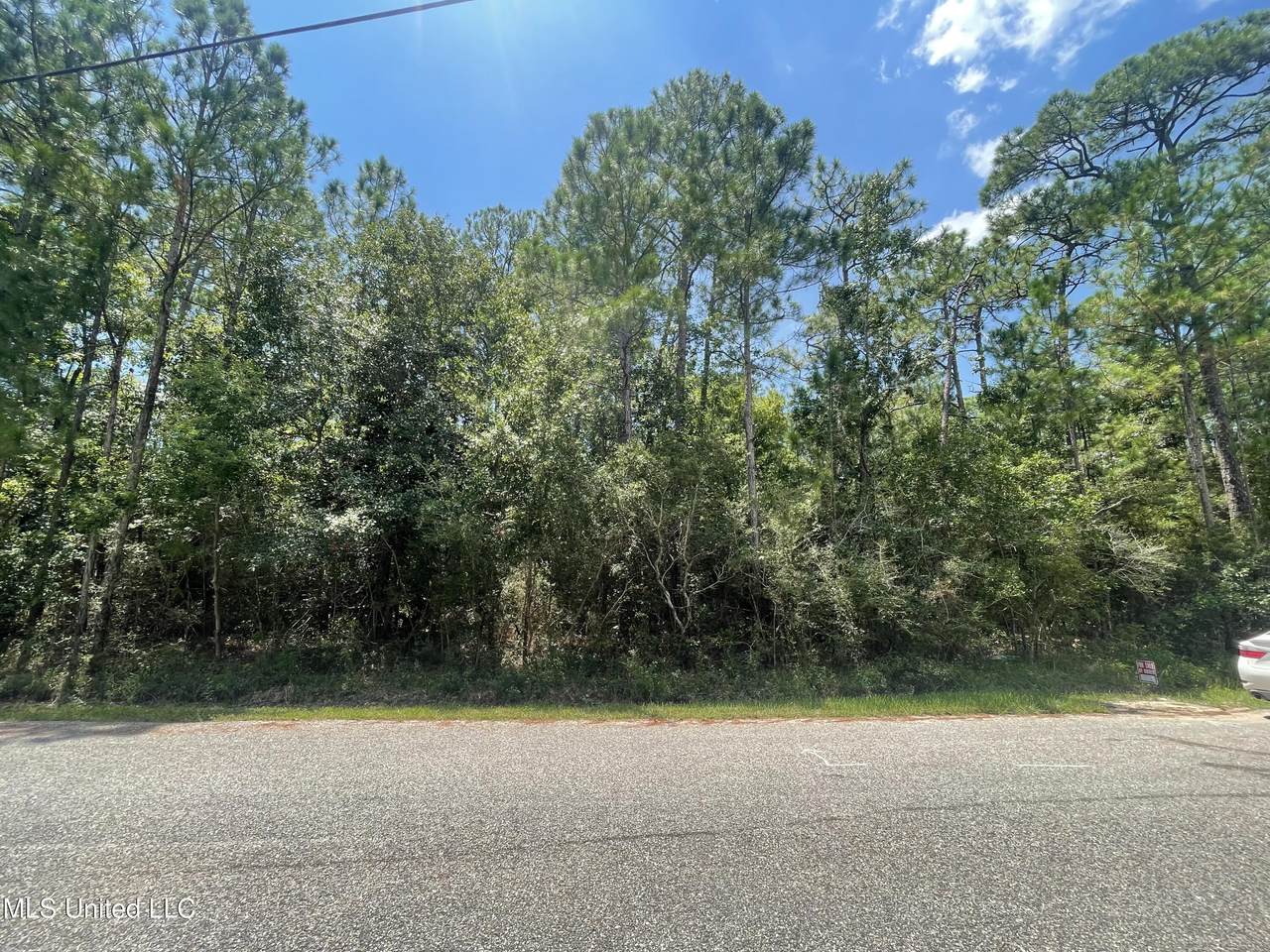  Lot 17 Poinsetta Loop - Photo 1