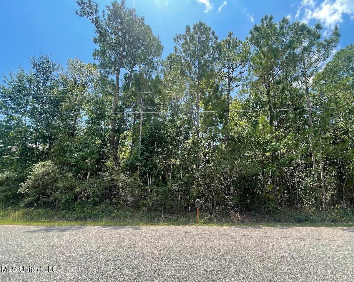  Lot 16 Poinsetta Loop - Photo 1