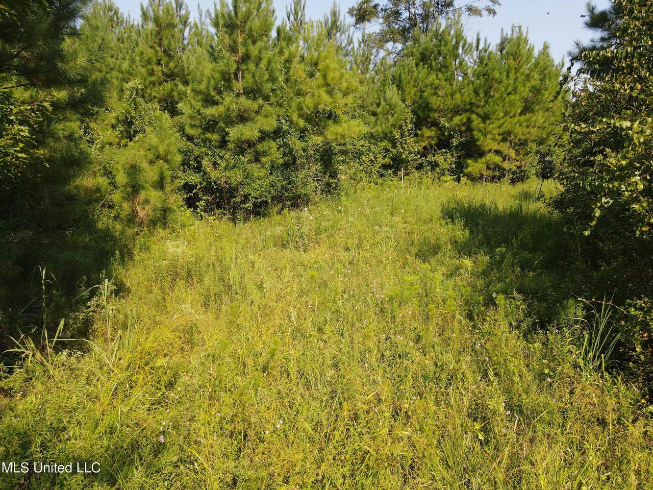 000 Davis Road - Photo 1