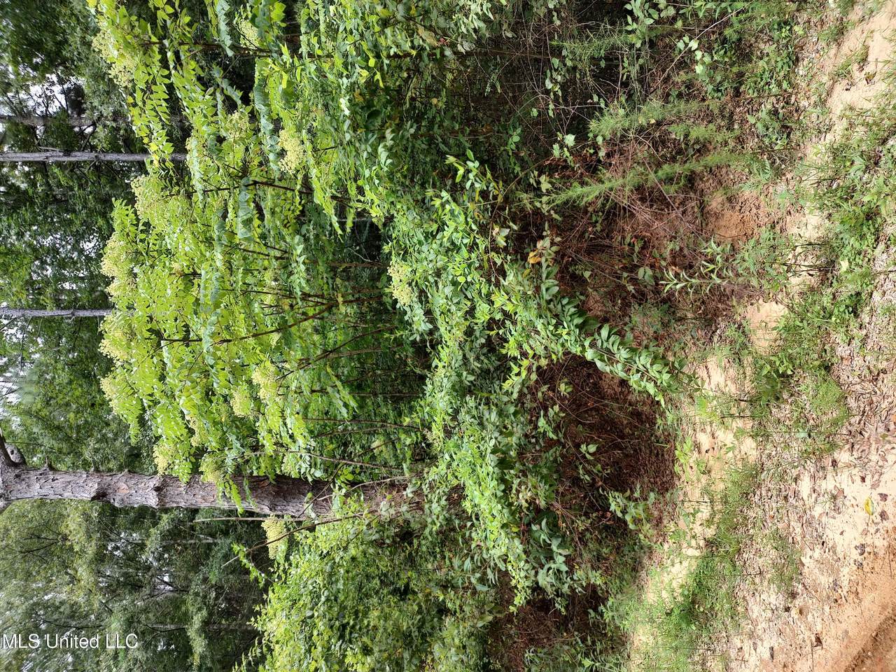 No Lakeshore Drive - Photo 1