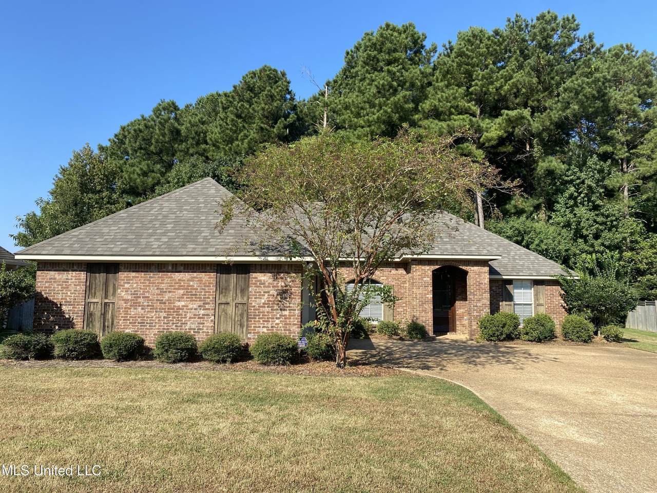 103 Tracey Cove - Photo 1