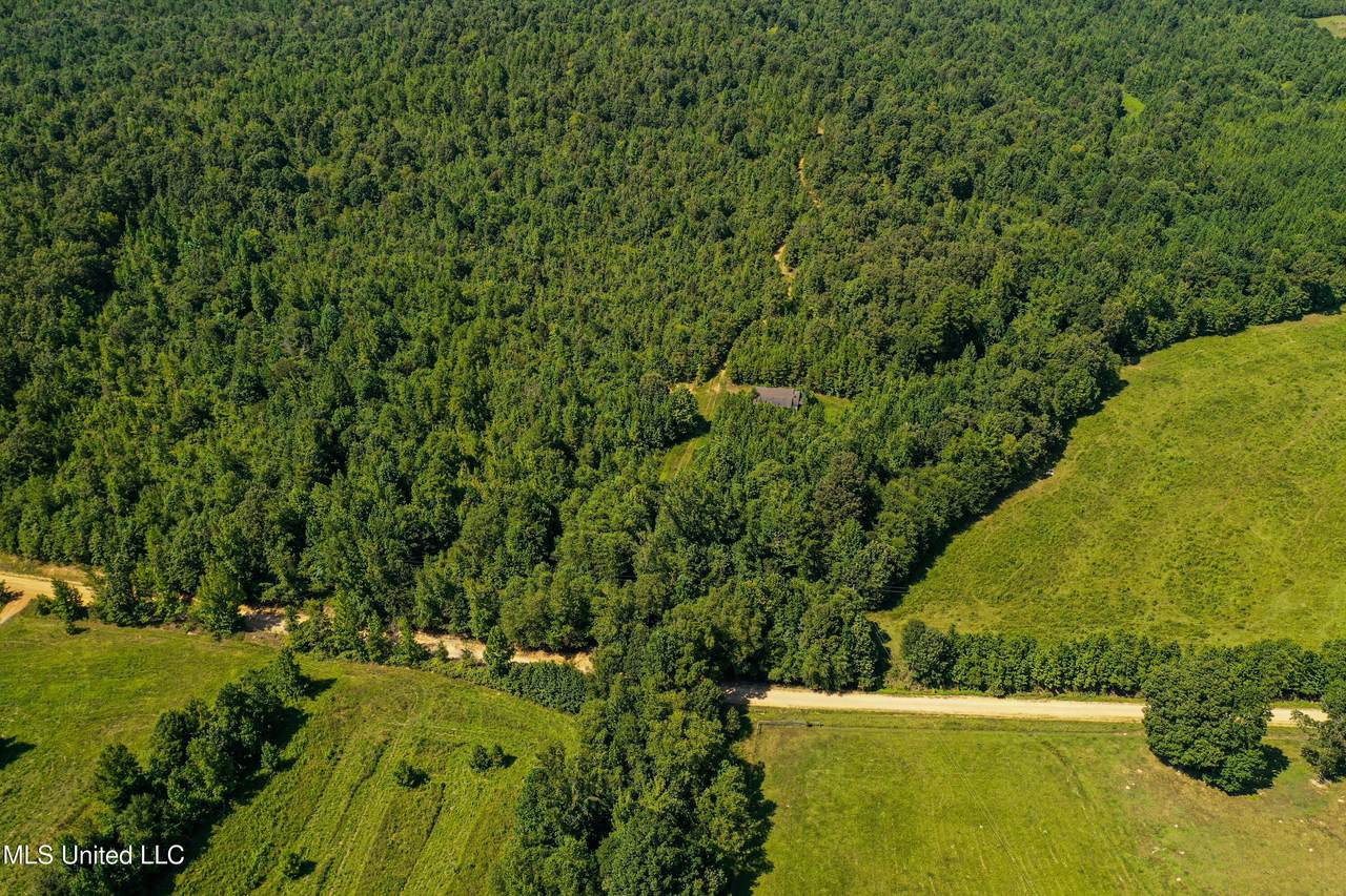 2295 Chapman Road - Photo 1