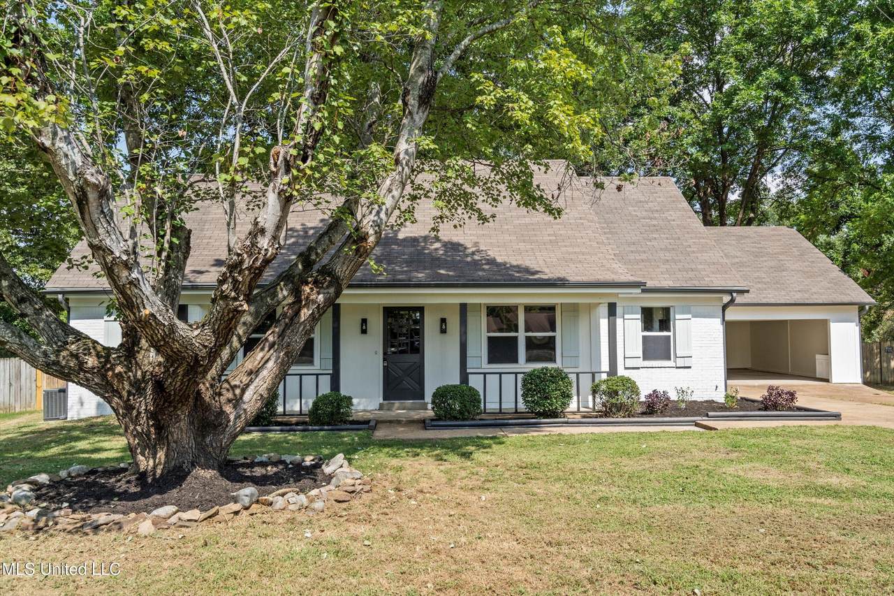 7188 Larkfield Cove - Photo 1