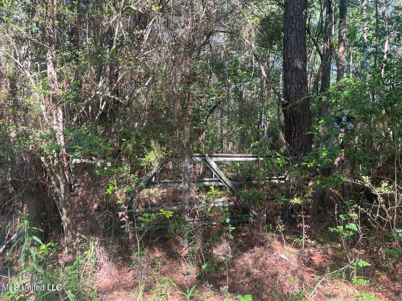  Martin Young Road - Photo 1