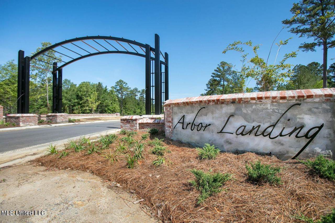 179 Crepe Myrtle Drive - Photo 1