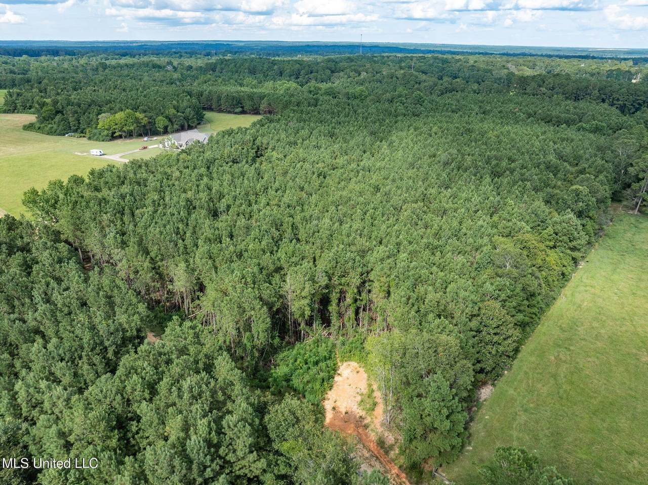 Parcel C J. Runnels Road - Photo 1