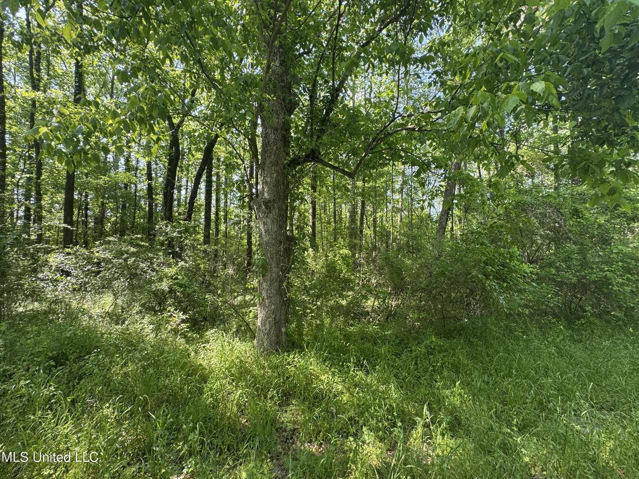 0001 Old Hwy 471 - Photo 1