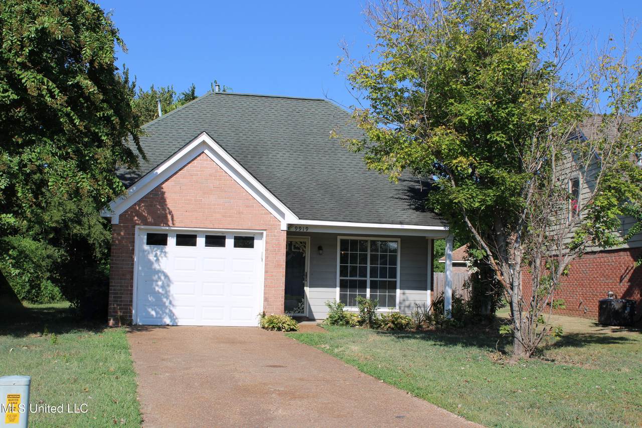 9919 Adina Cove - Photo 1