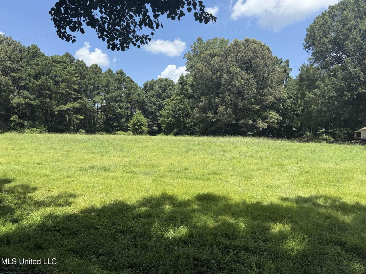 8079 Horn Lake Road - Photo 1