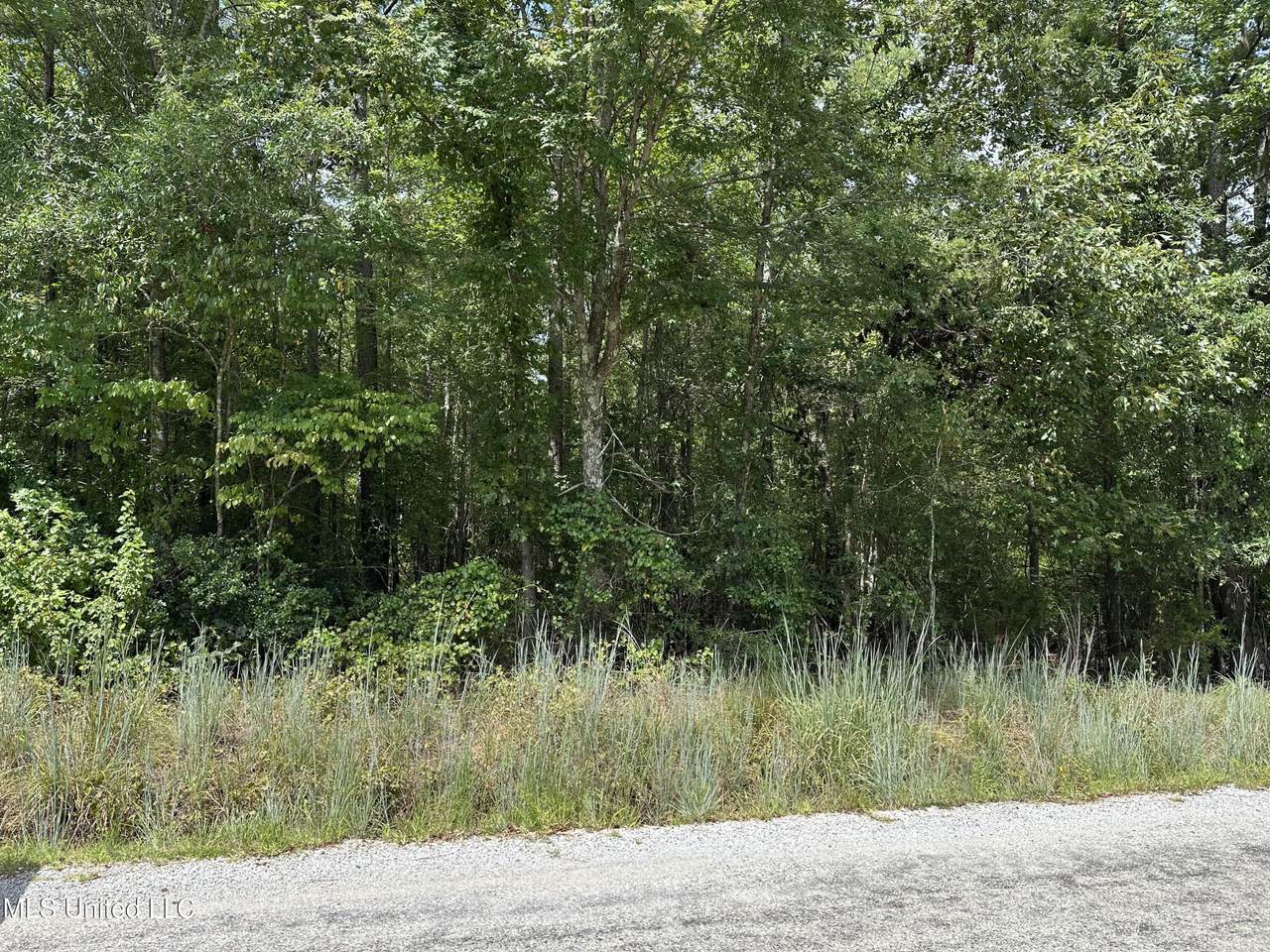  Wilkins Chapel - Photo 1