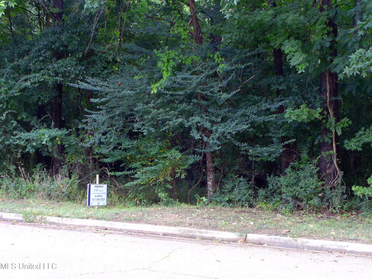  Woodbridge Drive - Photo 1