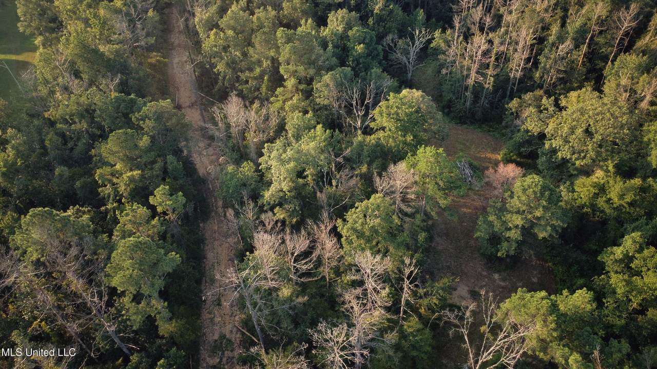  Sumrall Road - Photo 1
