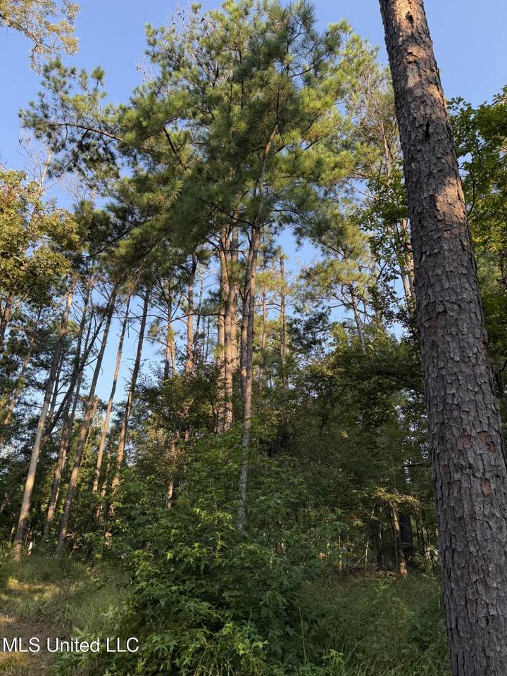  Sumrall Road - Photo 1