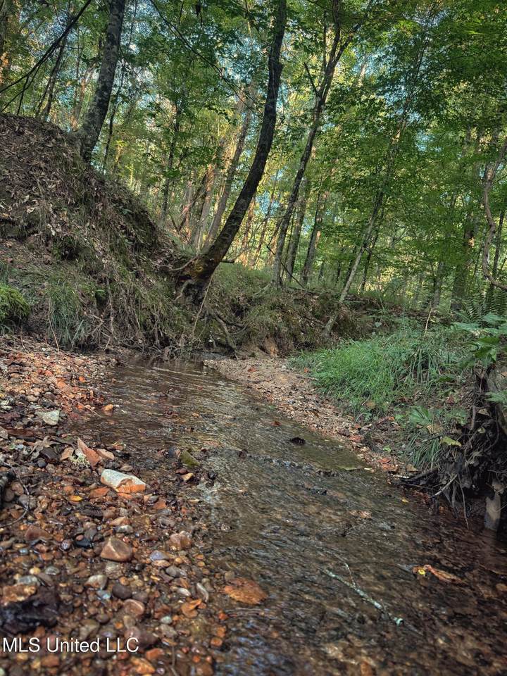  Sumrall Road - Photo 1