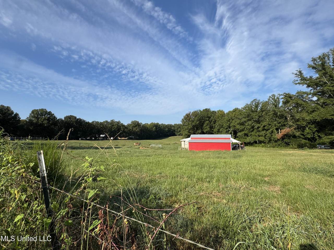 51 Gunter Street - Photo 1