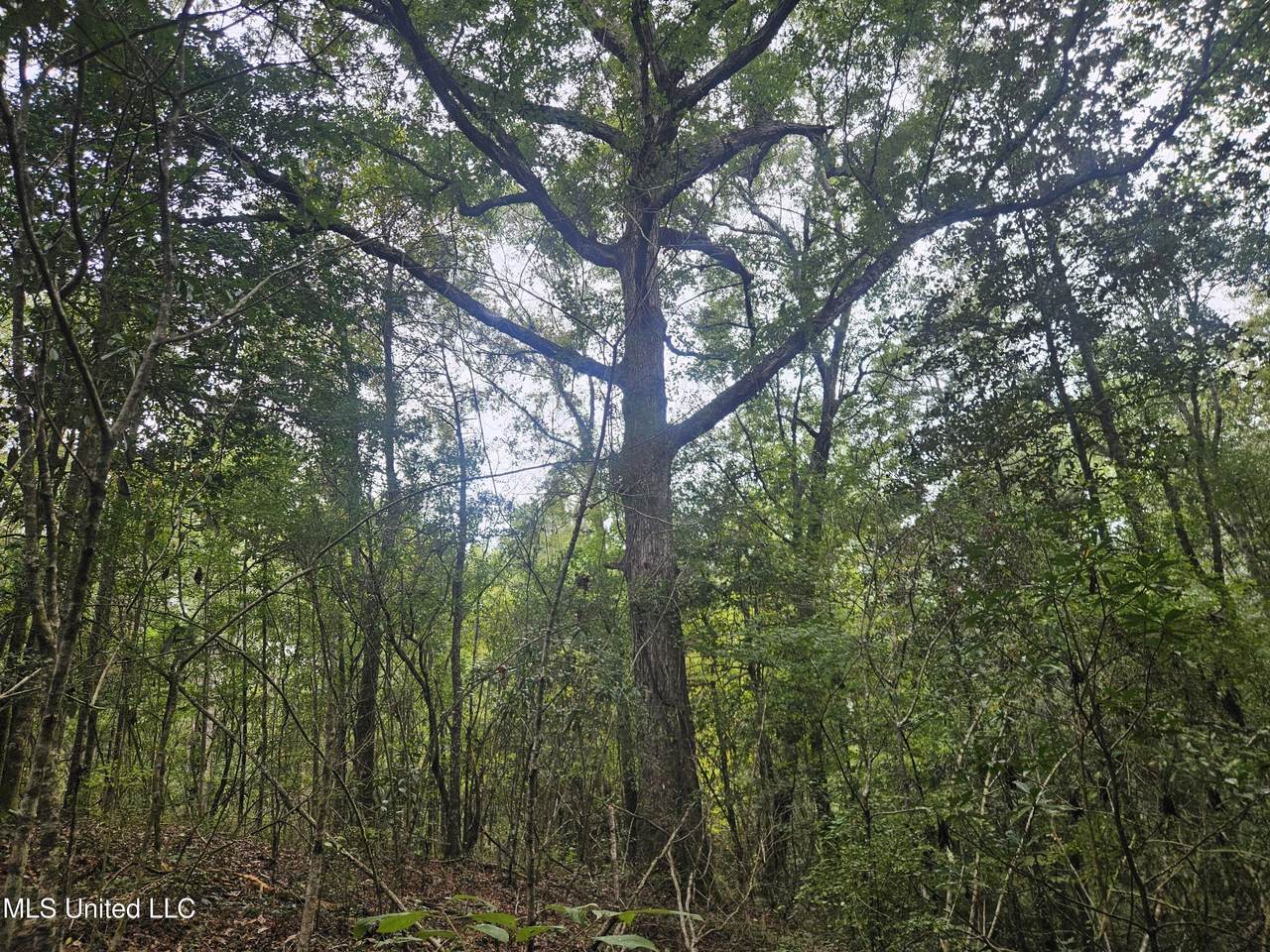  Simpson Highway - Photo 1