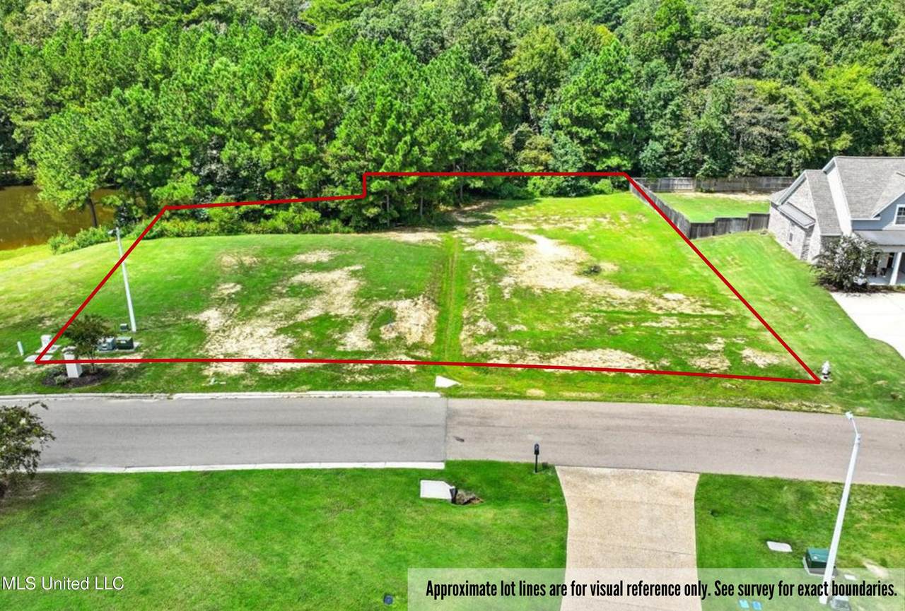  Asbury Lane Drive - Photo 1