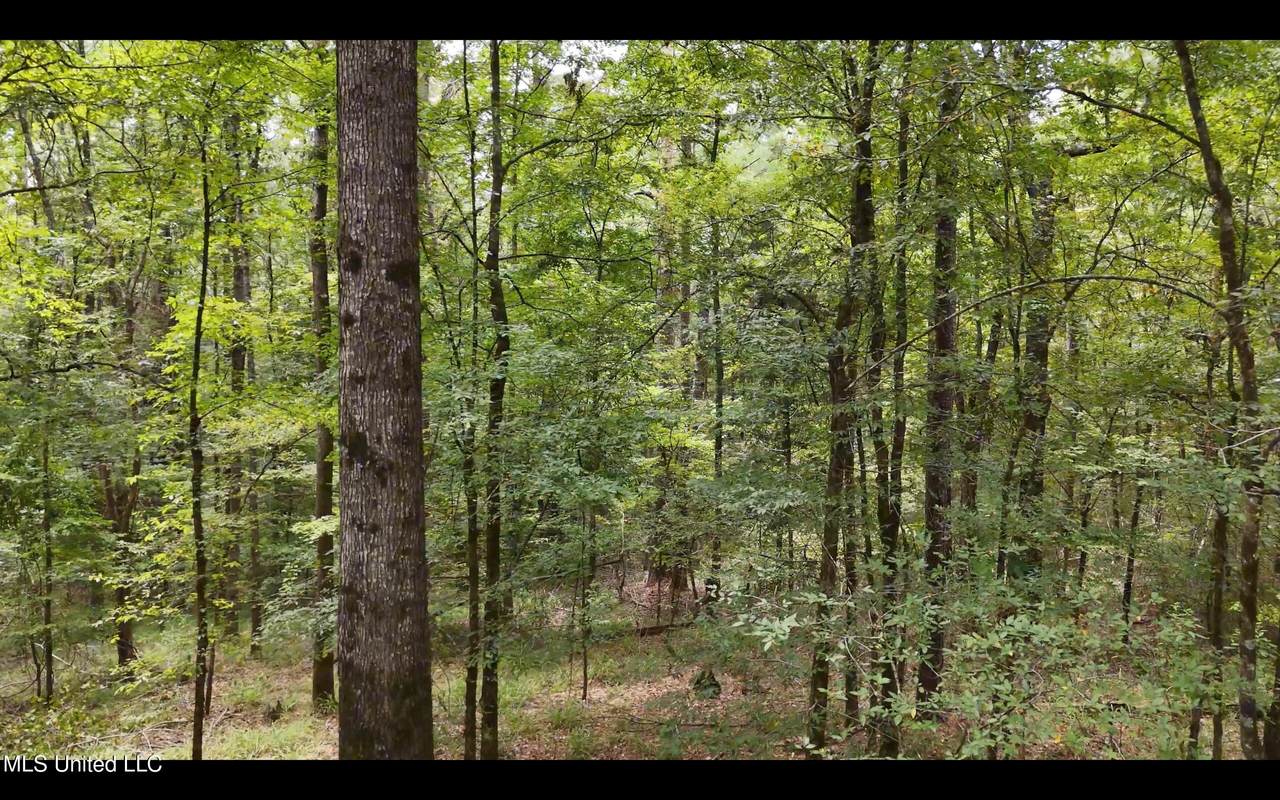 0 Shelby Road - Photo 1