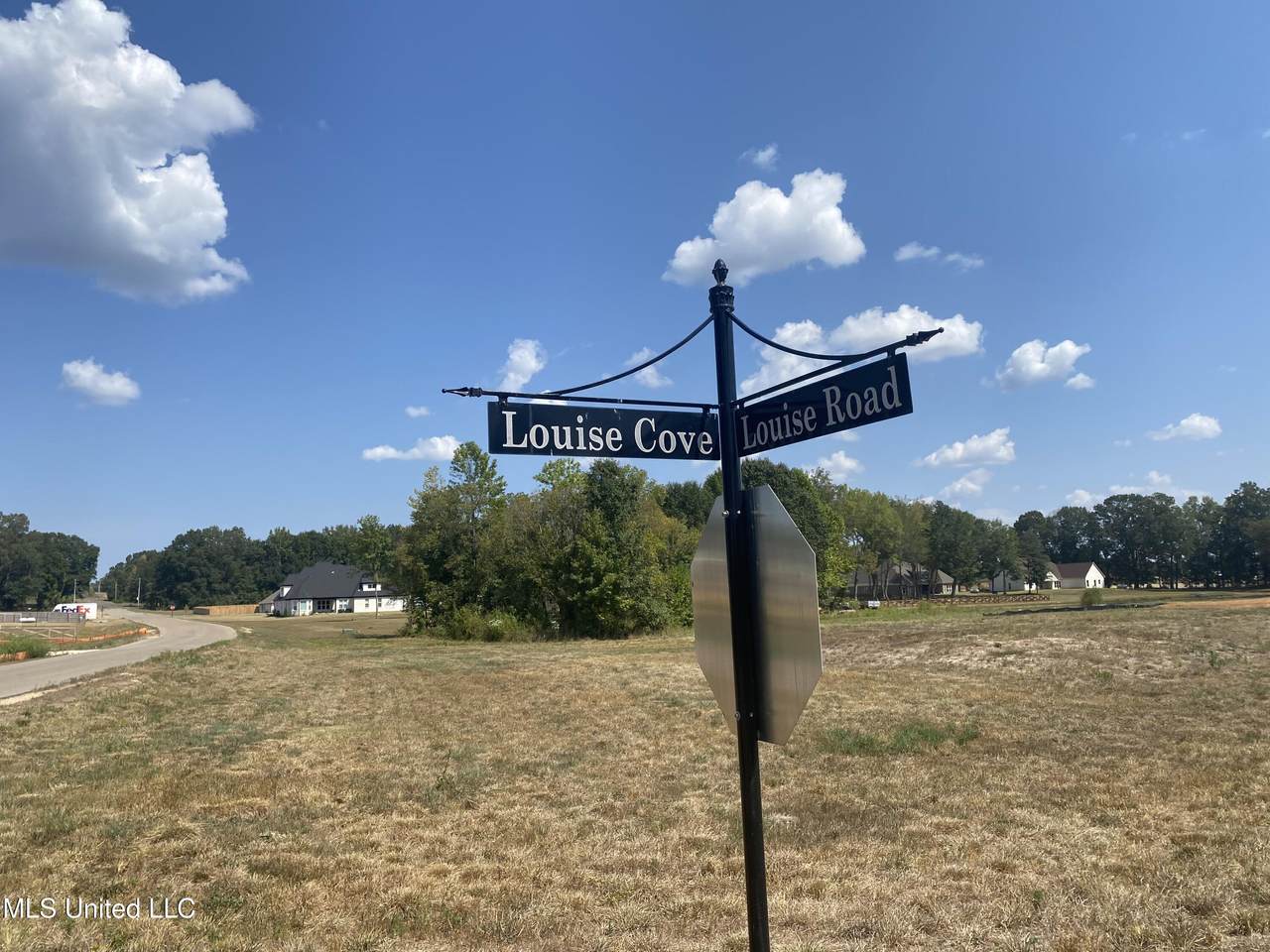 107 Louise Cove Road - Photo 1