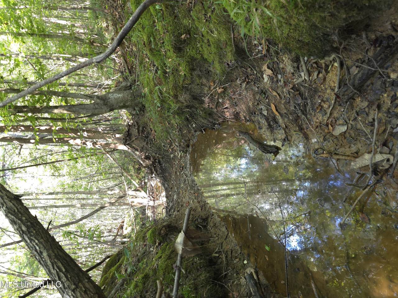  Cub Brown Road - Photo 1