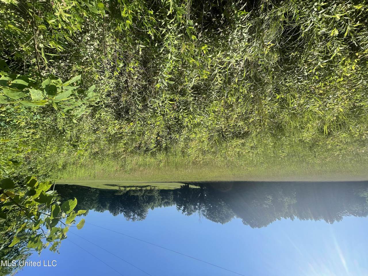 Lot 18 Seven Road - Photo 1