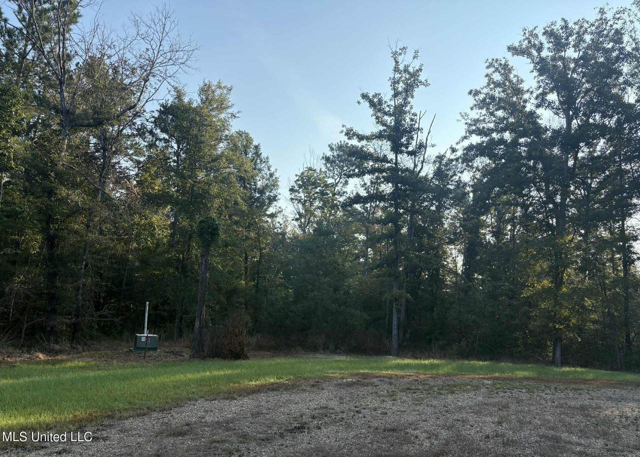 00 Friendship Circle - Photo 1