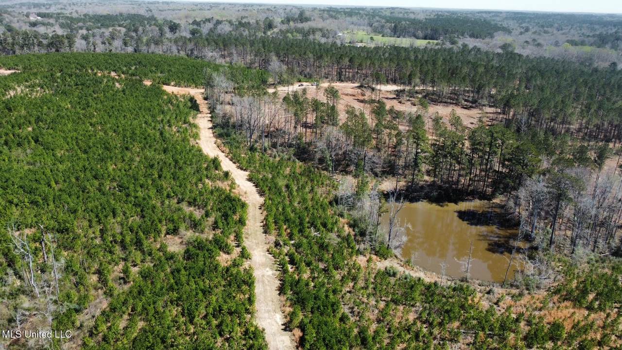 0 Highway 478 - Photo 1