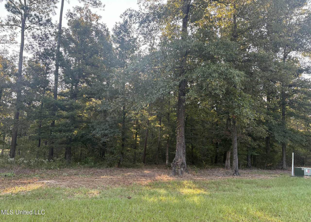 00 Shire Avenue - Photo 1
