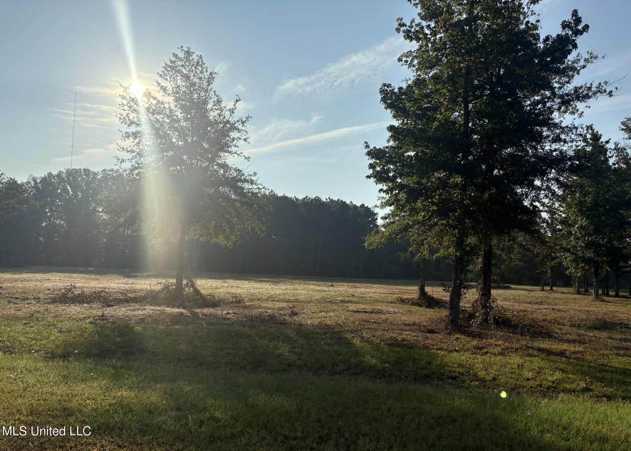 00 Shire Avenue - Photo 1