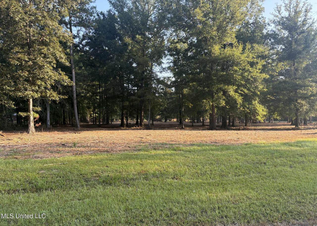 00 Shire Avenue - Photo 1