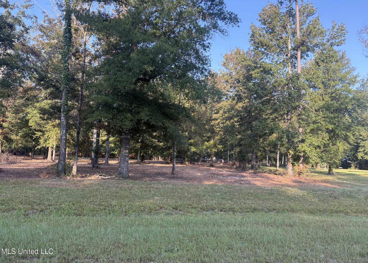 00 Shire Avenue - Photo 1