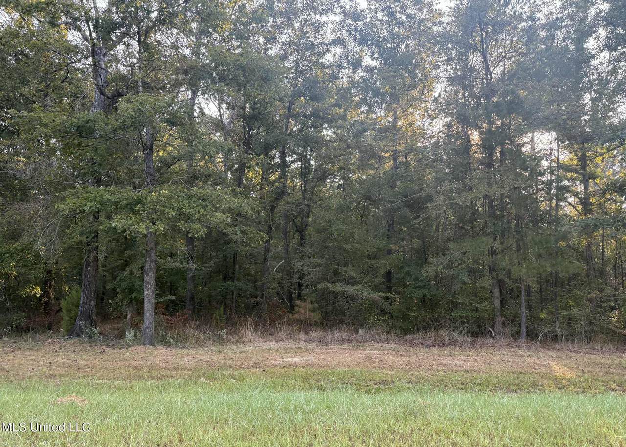 00 Shire Avenue - Photo 1