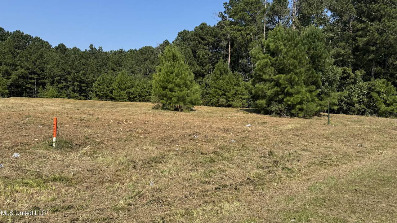 01 Hwy 35 Highway - Photo 1