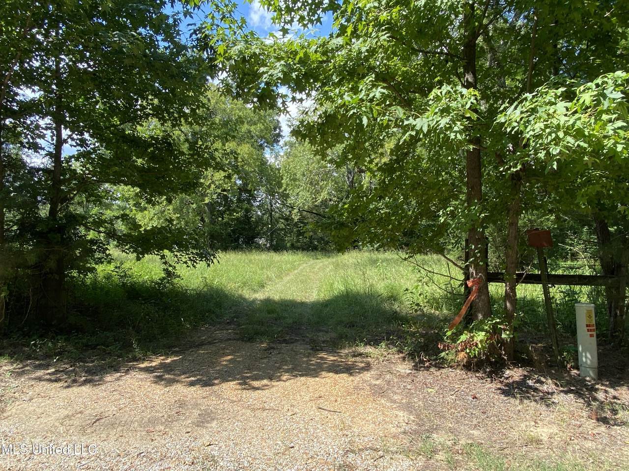 0 Skating Rink Road - Photo 1